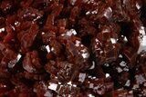 Glittering Ruby Red Vanadinite Crystals on Barite - Morocco #349440-1